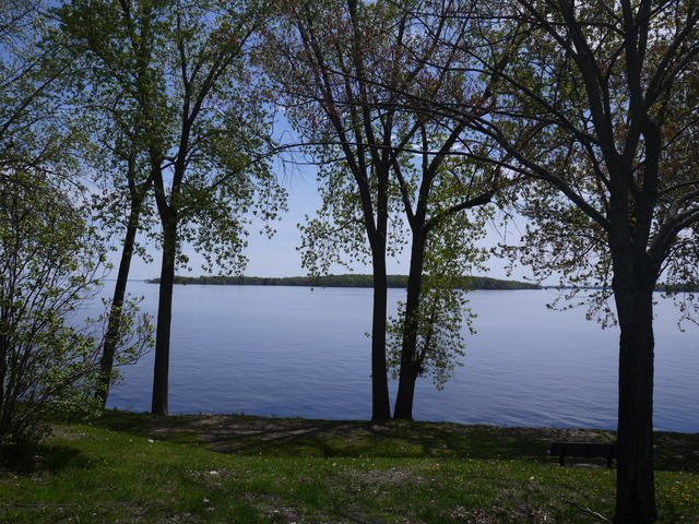 dowker island, summer time