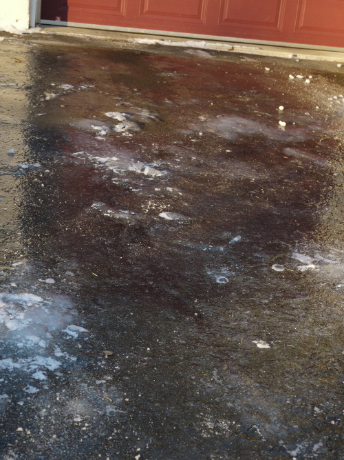 a nice layer of super slippery ice on the driveway