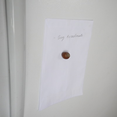 Hazelnut fridge magnet