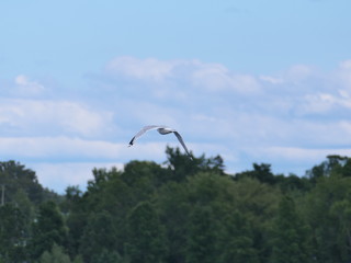 Lac Memphremagog