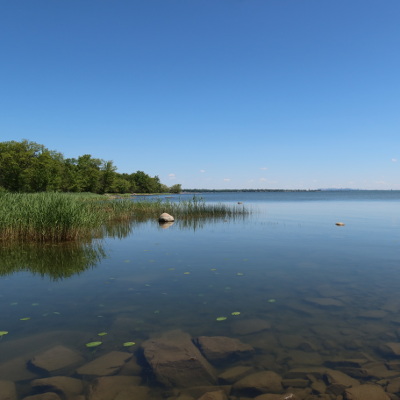 2021-06-17_1154-165-kayak-tour-dowker-nature_sq.jpg