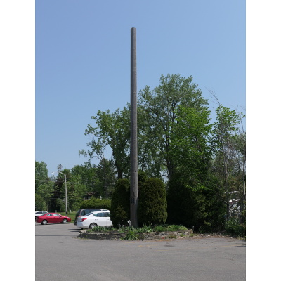 2022-05-21_1133-172-flagpole-cut_th.jpg