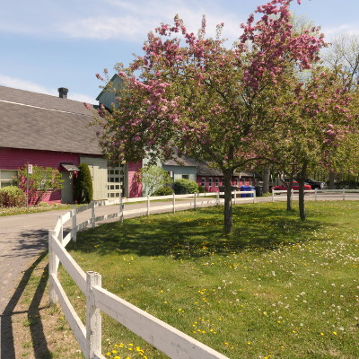 2020-05-24_1109-402-red-barn_sq.jpg